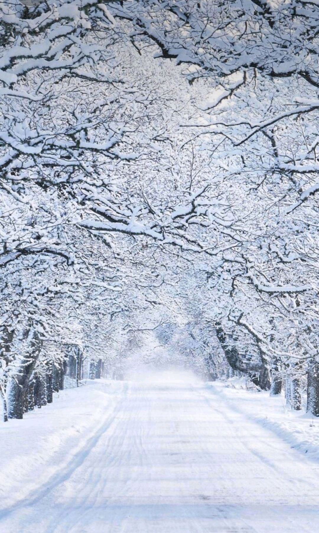 满天雪花飞舞图片