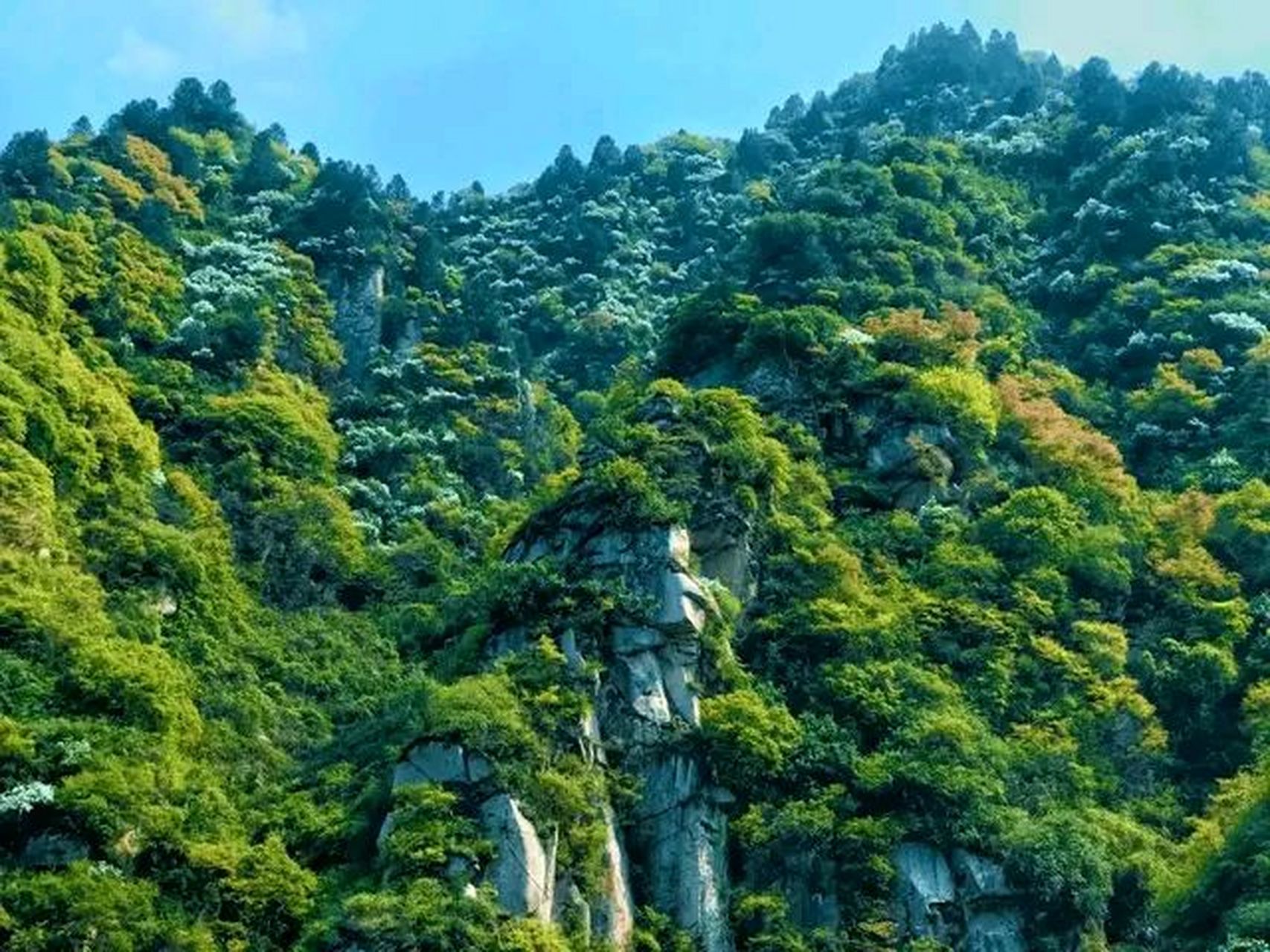 灵宝亚武山风景区图片