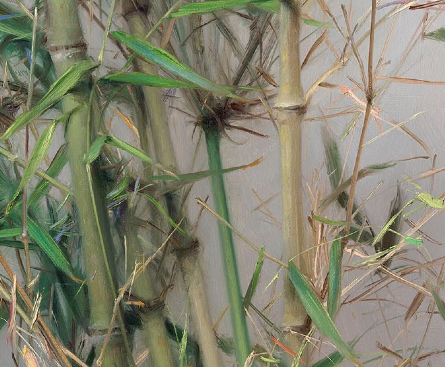 冷军画的枯竹,没画出竹子郁郁葱葱的生命力,却凭什么能卖到172万?