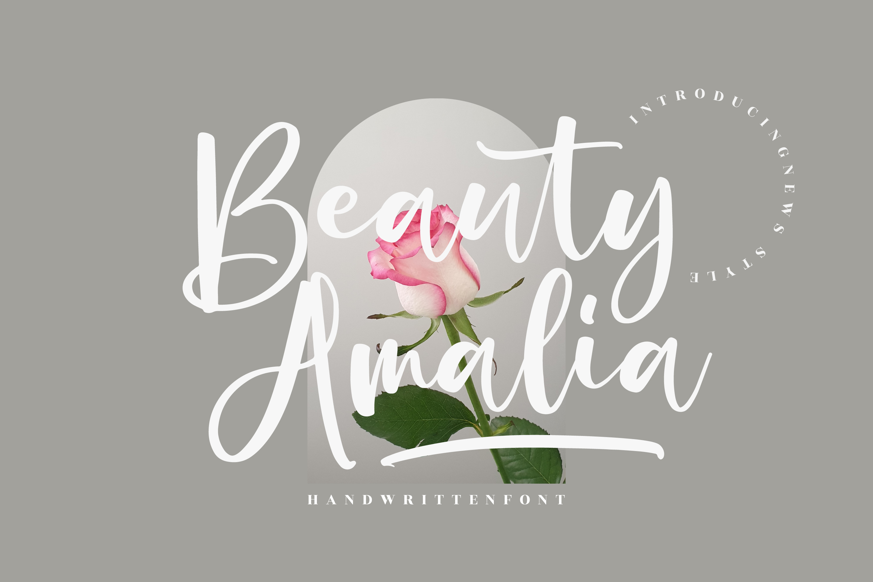 Beauty Amalia Font.jpg