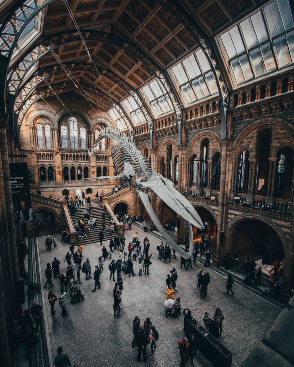 两种调色2选1,你选哪一种?