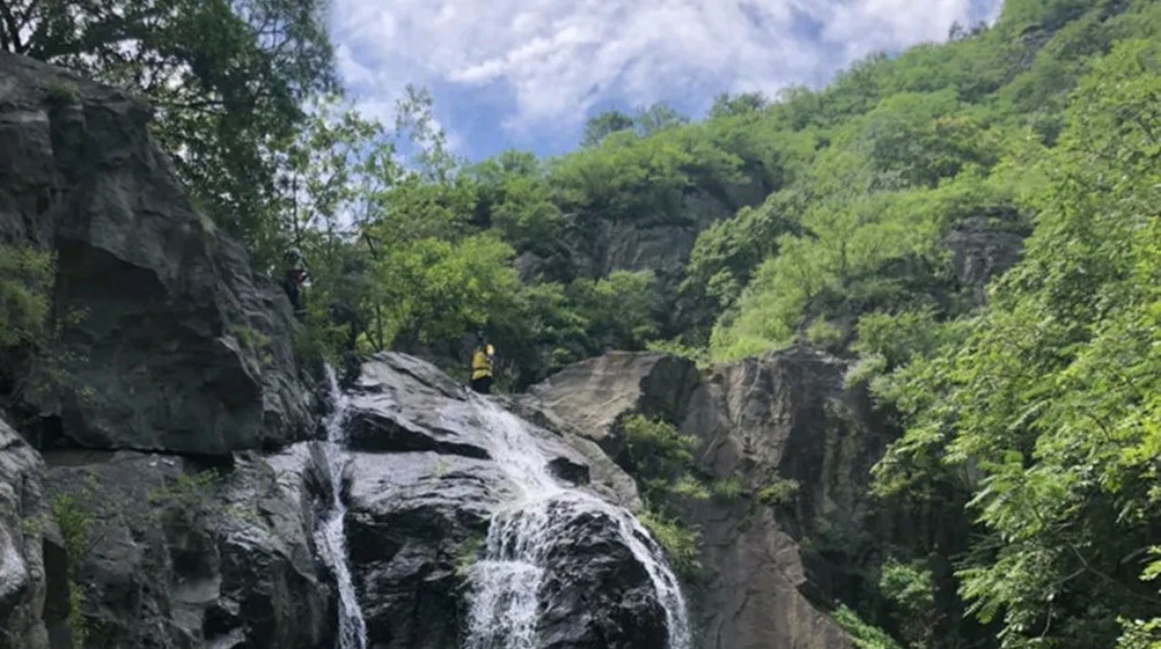 初夏的风景