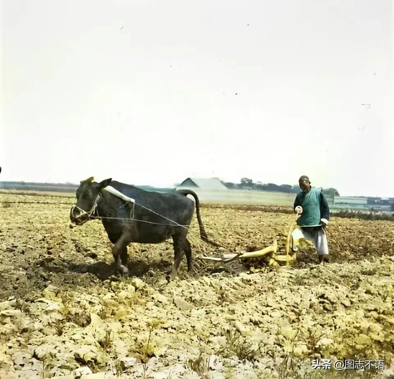 衙门口站着一个年纪轻轻的犯人正在示众,看长相也就十五六岁.