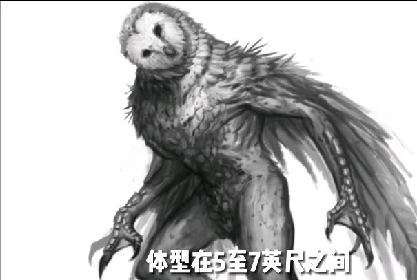 「uma」系列①——鸮人(康沃尔鸮人目击事件)慎入!