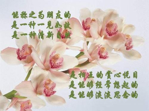 心理学:朋友之间为什么要真诚相待?