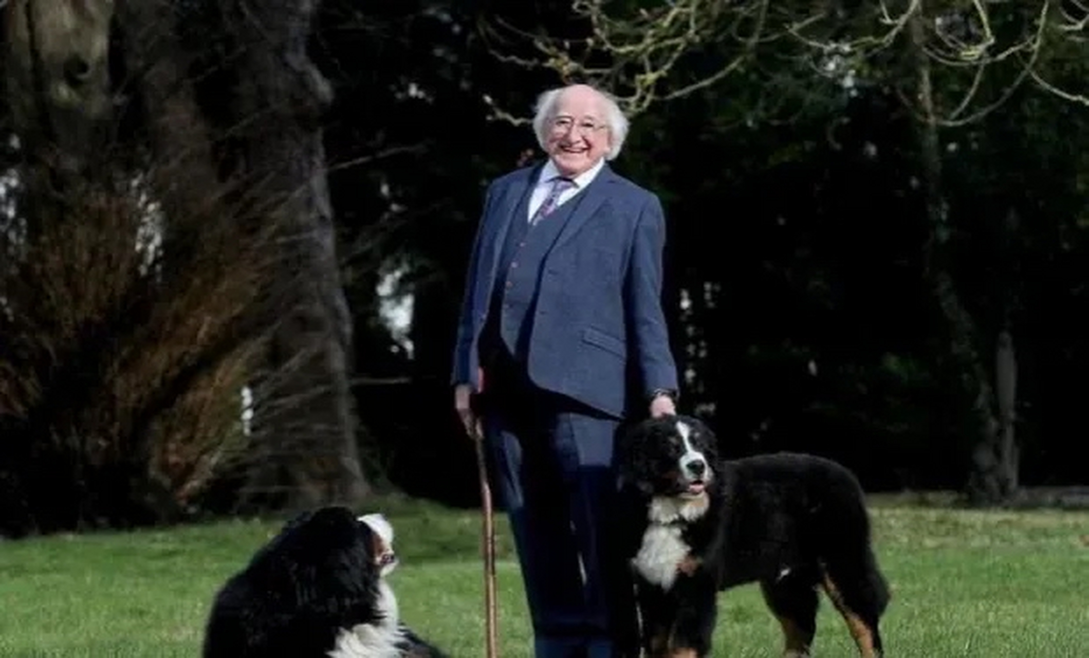 上周冷落拜登的爱尔兰总统的爱犬离世  该犬种为伯尔尼山犬,年龄为