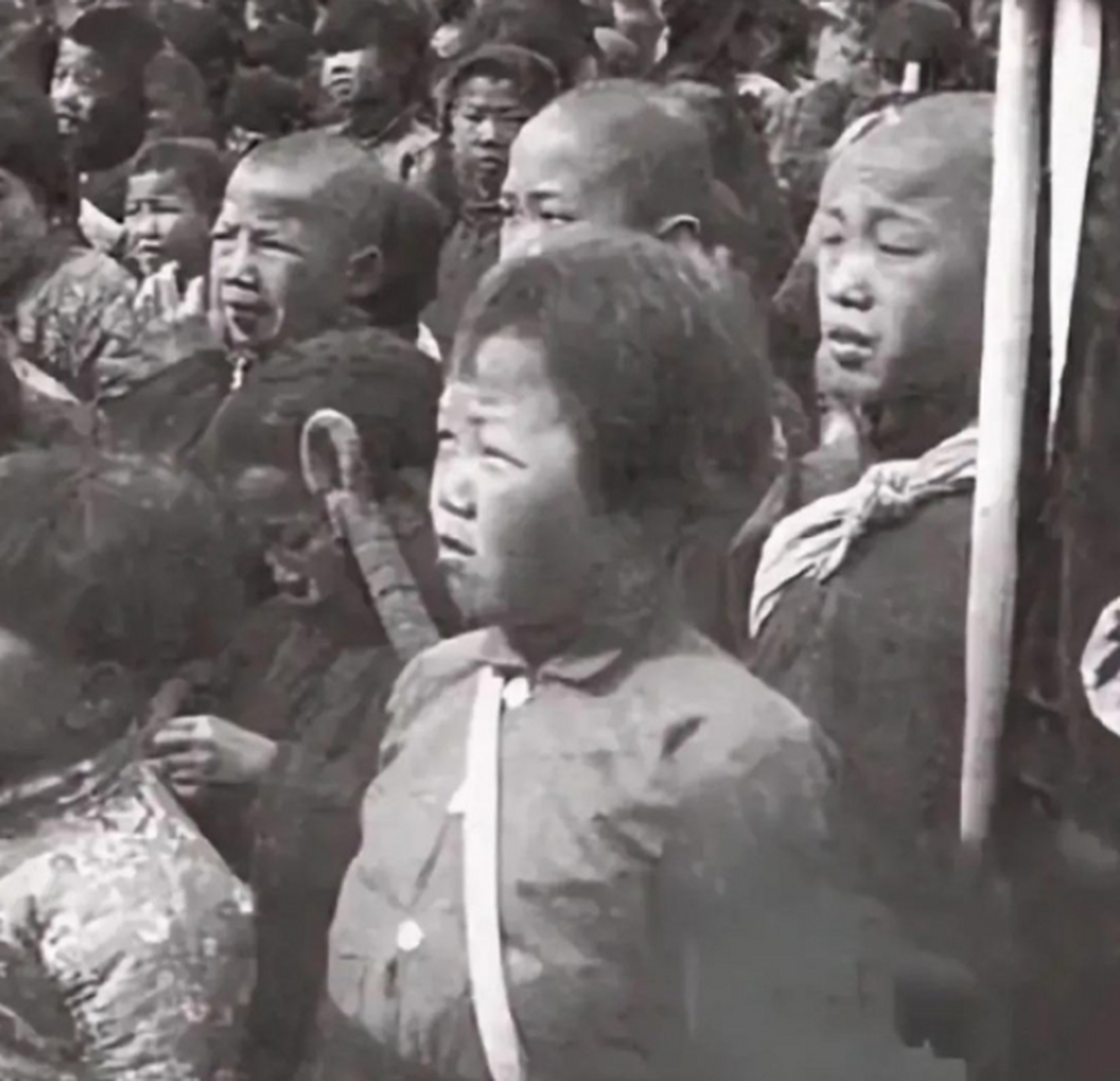 这群可怜的孤儿,在兵荒马乱的年代里,从小就失去了父母亲人的陪伴与
