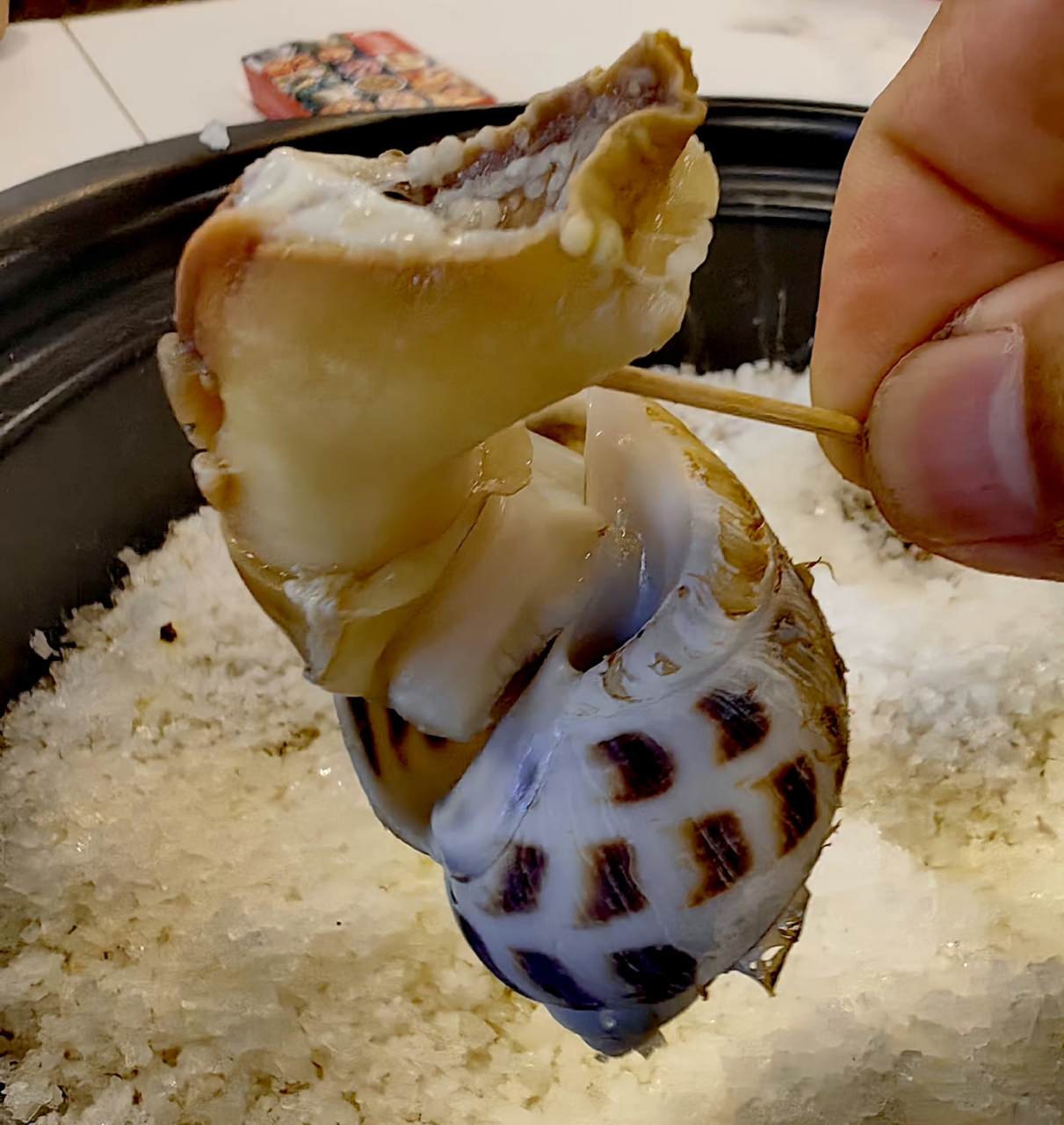 盐焗东风螺 超大号的东风螺(十头),盐焗最美味.