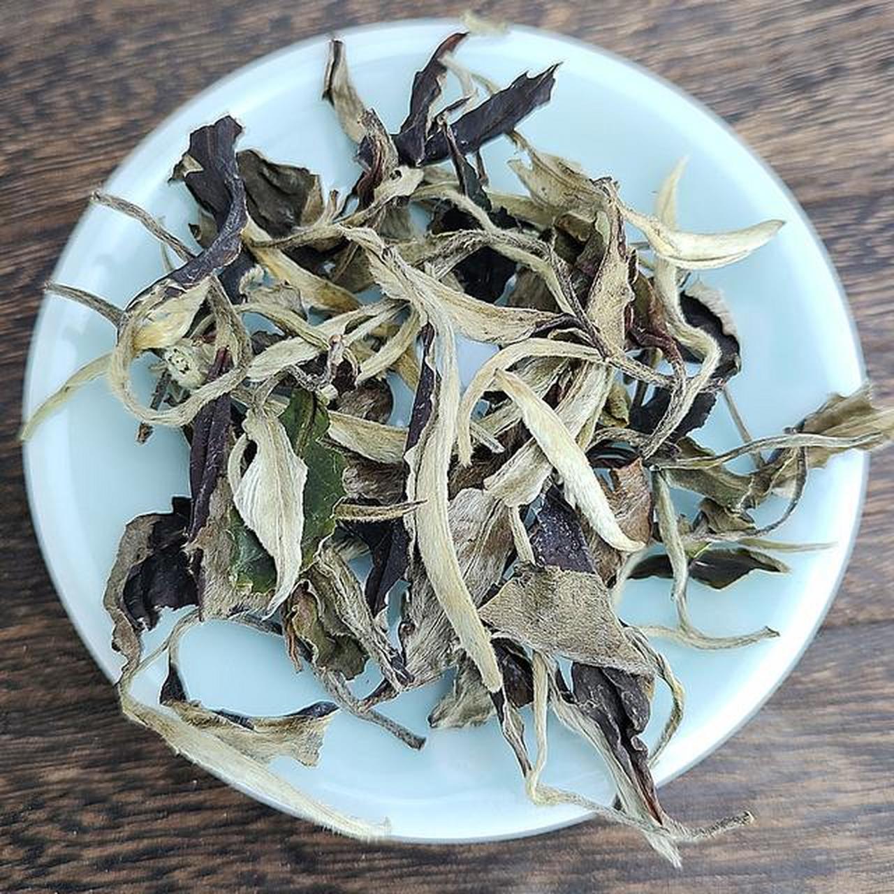 春季那些茶事(月光白)  白茶的其中一品种,月光白,也叫月光美人,它