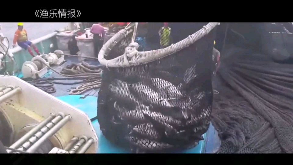 大型捕捞鲣鱼和金枪鱼,丰富的渔业资源,先进是捕捞装备,过瘾!
