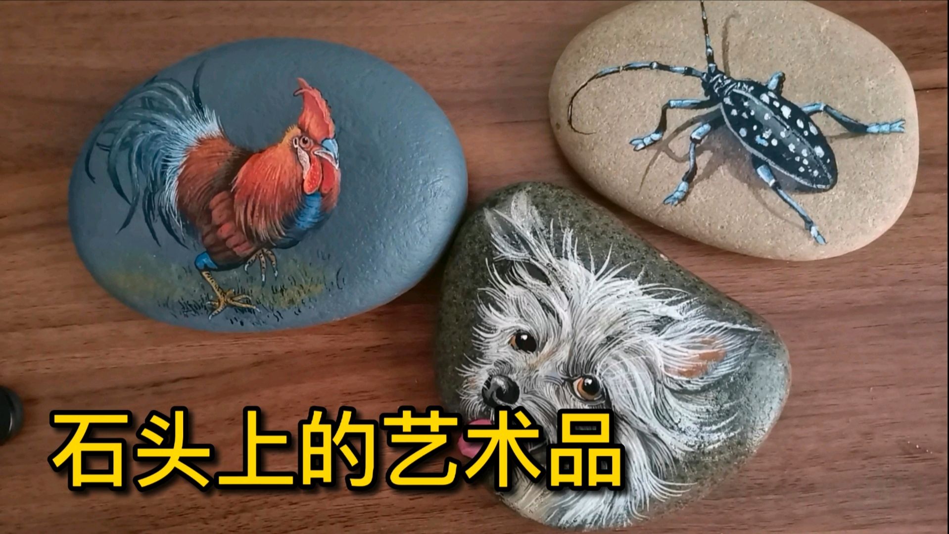 长江边捡几块普通的石头,用丙烯颜料画一只卷毛狗,太可爱了