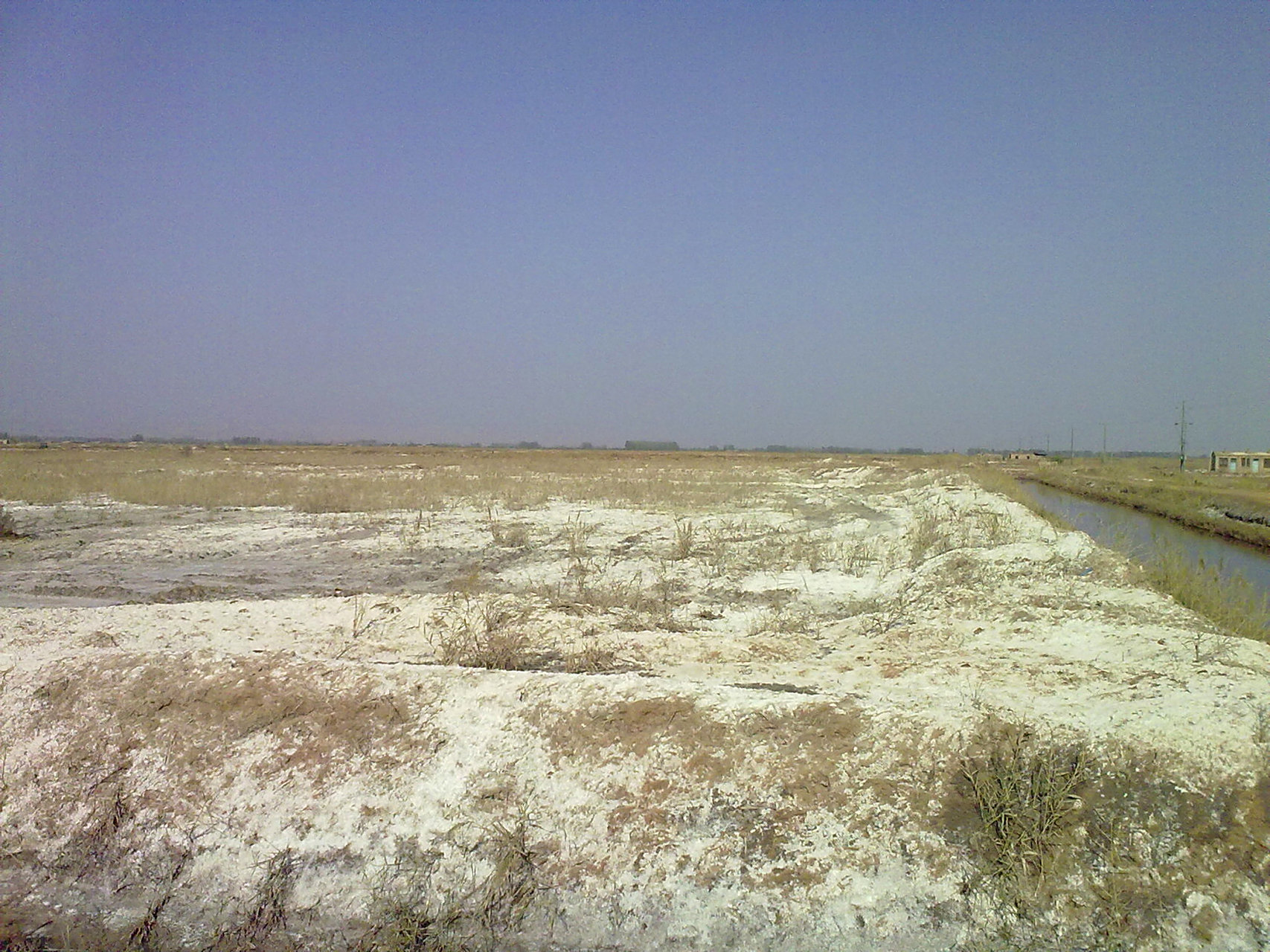中国五色土之五——白色土  白色土其实就是我们常说的盐碱地.
