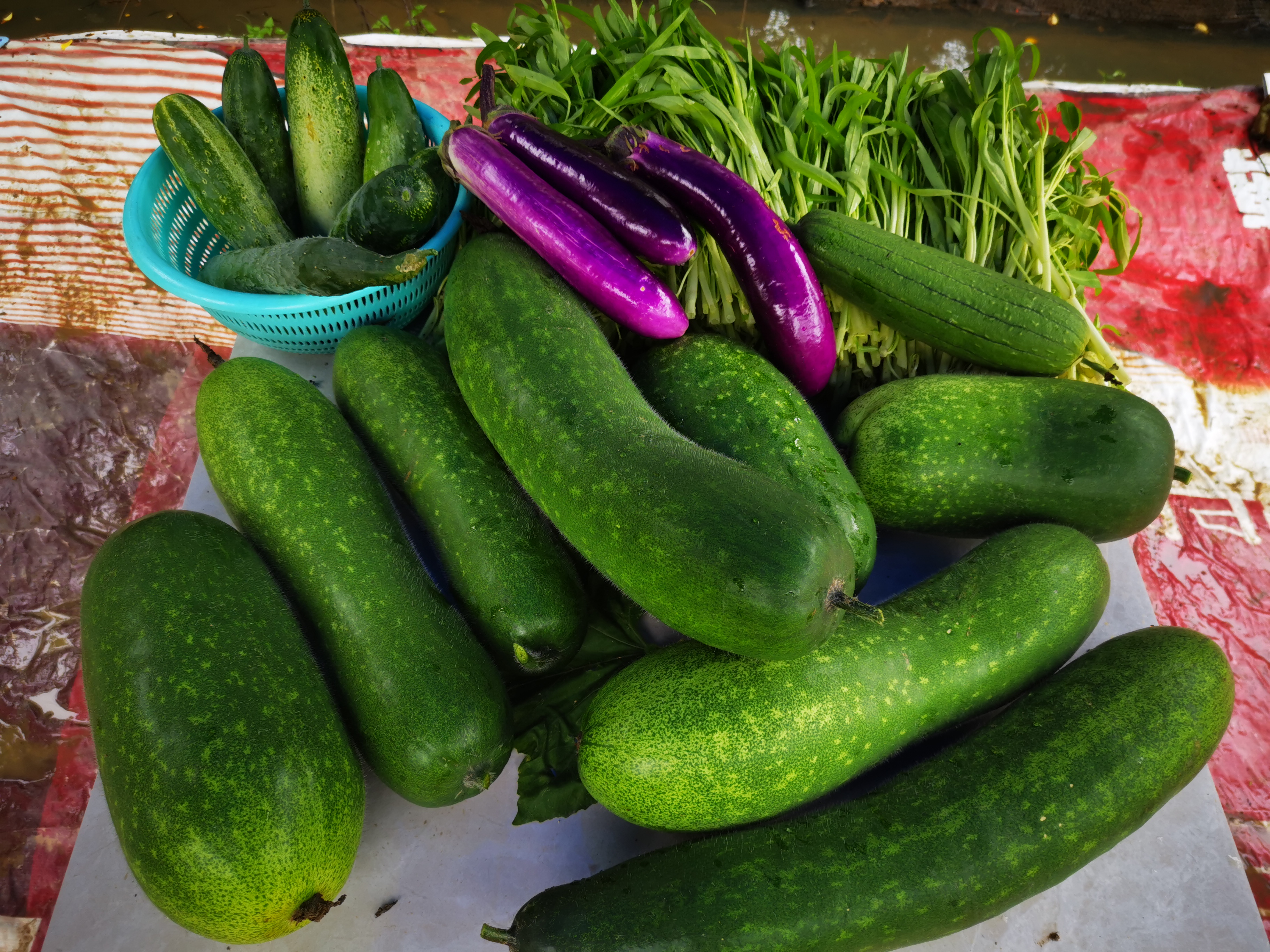 耕读之三:《蔡澜旅行食记》,青瓜和黄瓜