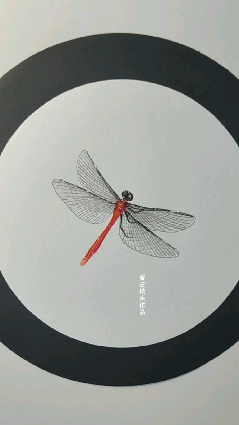 彩色铅笔画蜻蜓一起画画吧