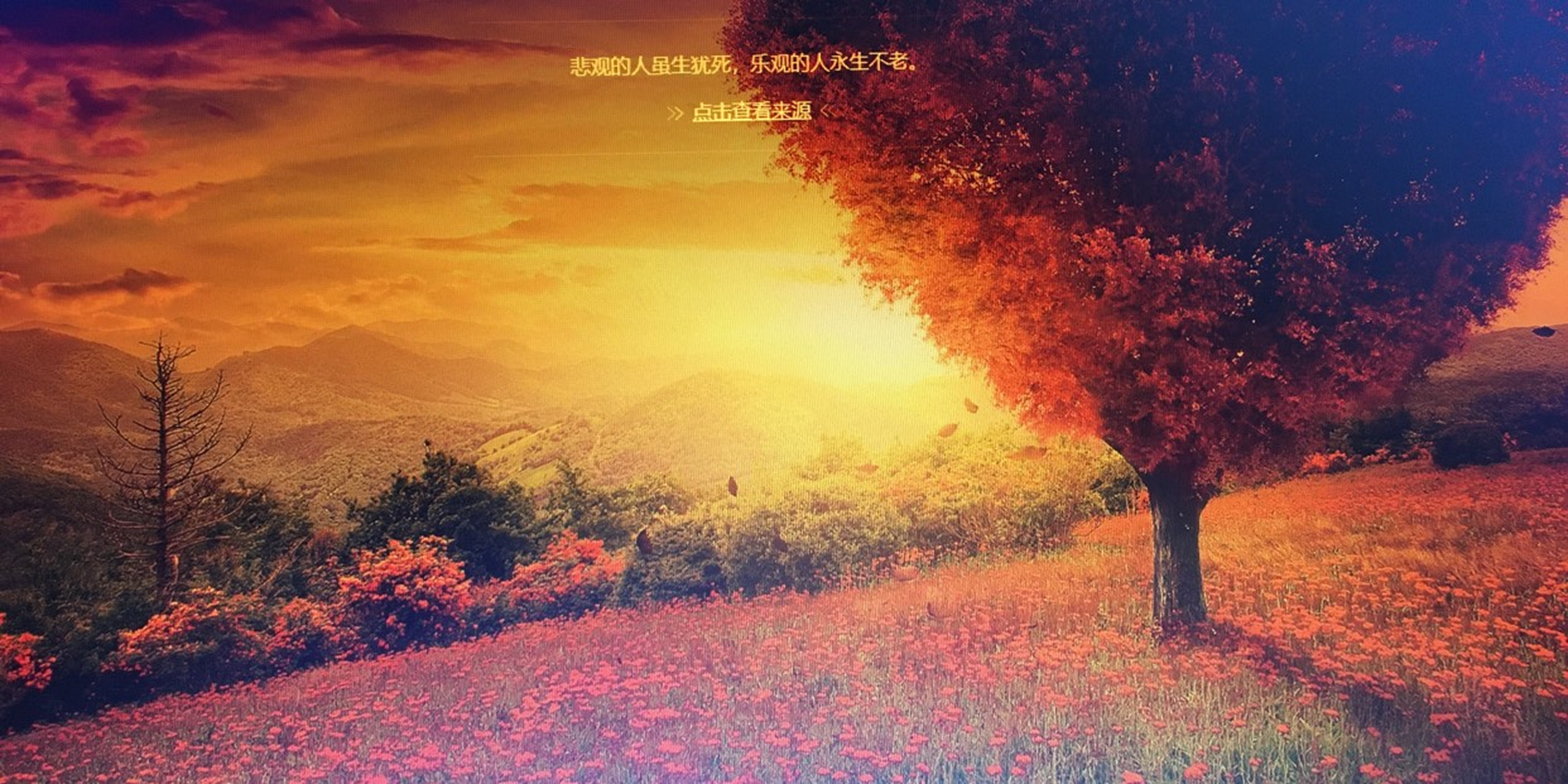 心理学上有个"契可尼效应",是指一般人对已经完成了的,已有结果的事情