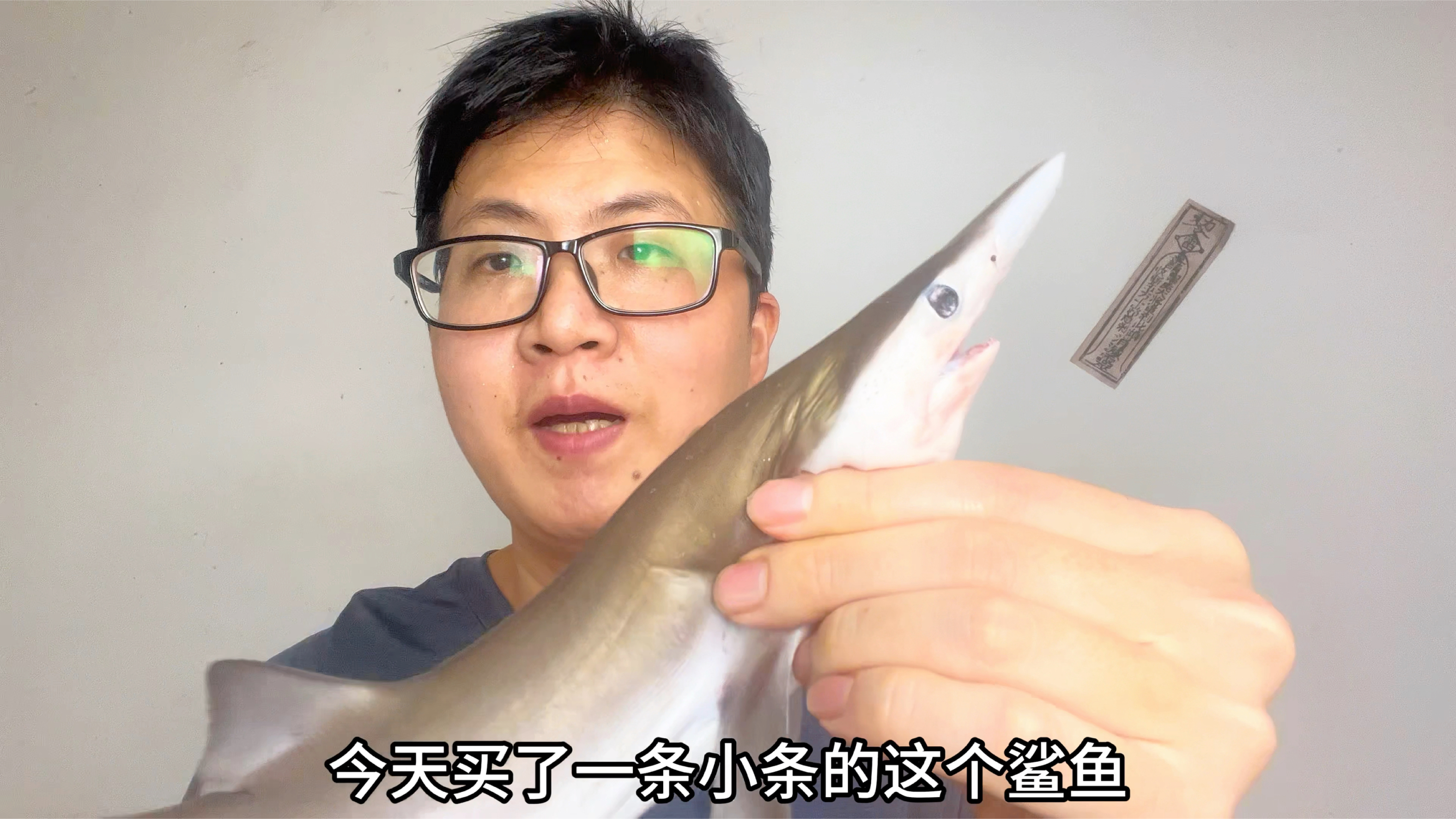 28块买条小白鲨鱼,做一道原汁原味“清蒸鲨鱼”,鲜嫩不腥