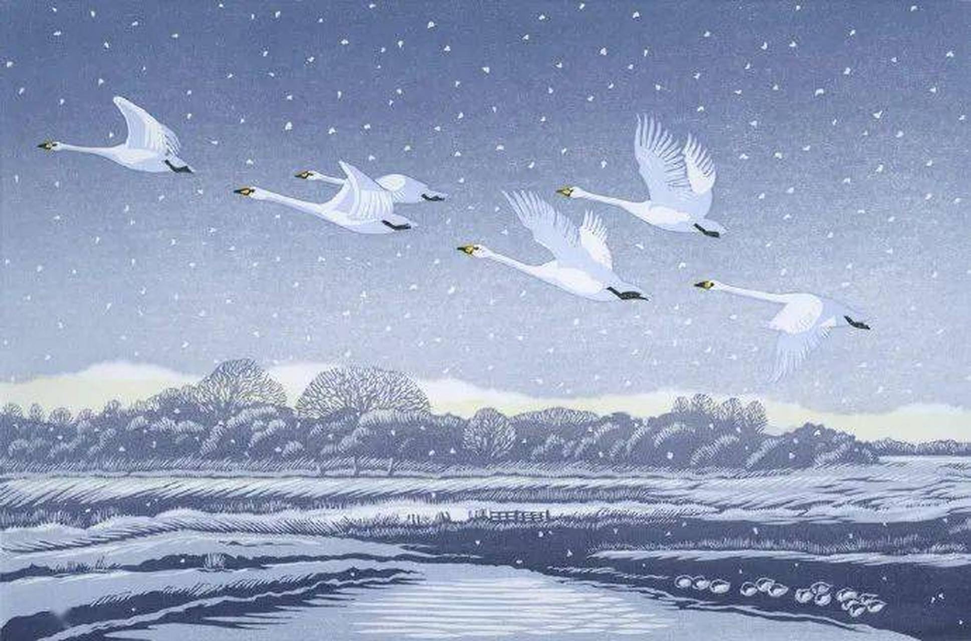 人生到处知何似,应似飞鸿踏雪泥. #诗词# #古诗词