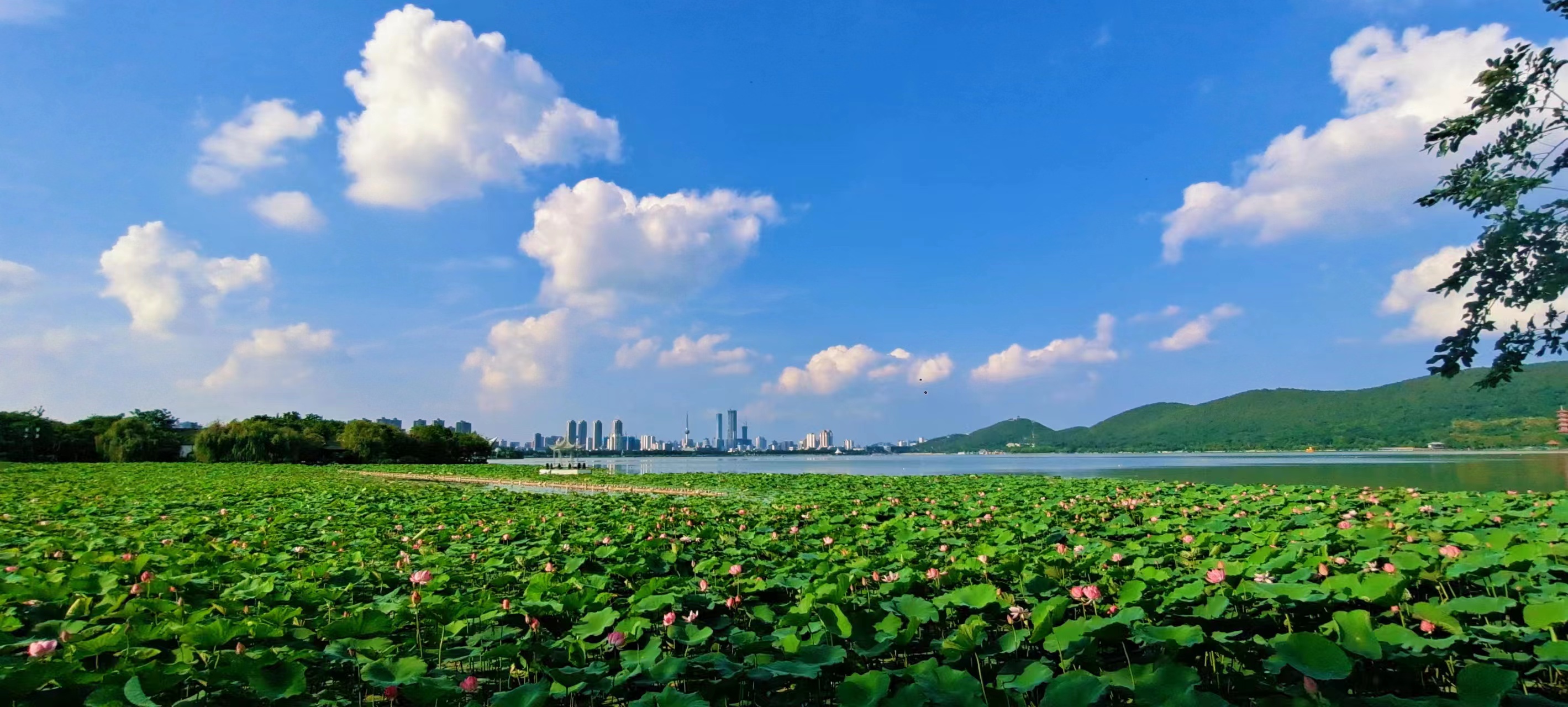 练琴,坚持与毅力的关系,其实并不大