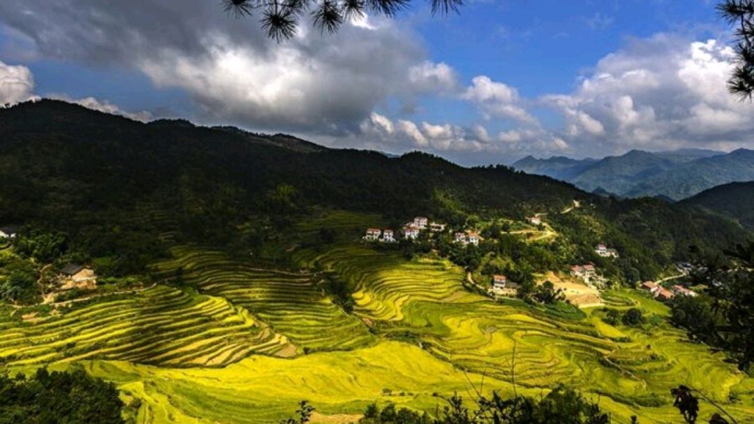 湖北蘄春一處景點,擁有奇美的田園風光,你知道它嗎?