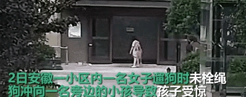 8条狗被毒死,主人崩溃:希望养狗都能文明,狗才不会受伤害