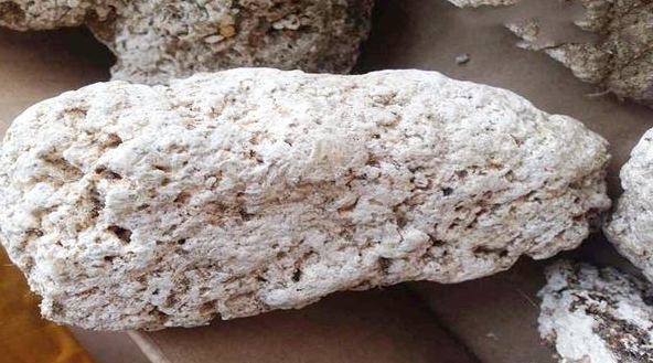 假龙涎香是什么做的