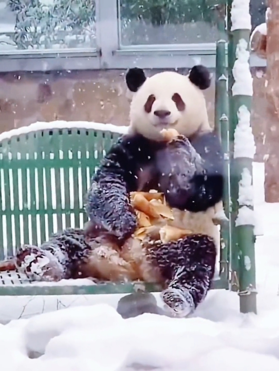 雪中徐长卿,三太子萌兰,坐在雪中吃东西这一幕真的是岁月静好,我前面