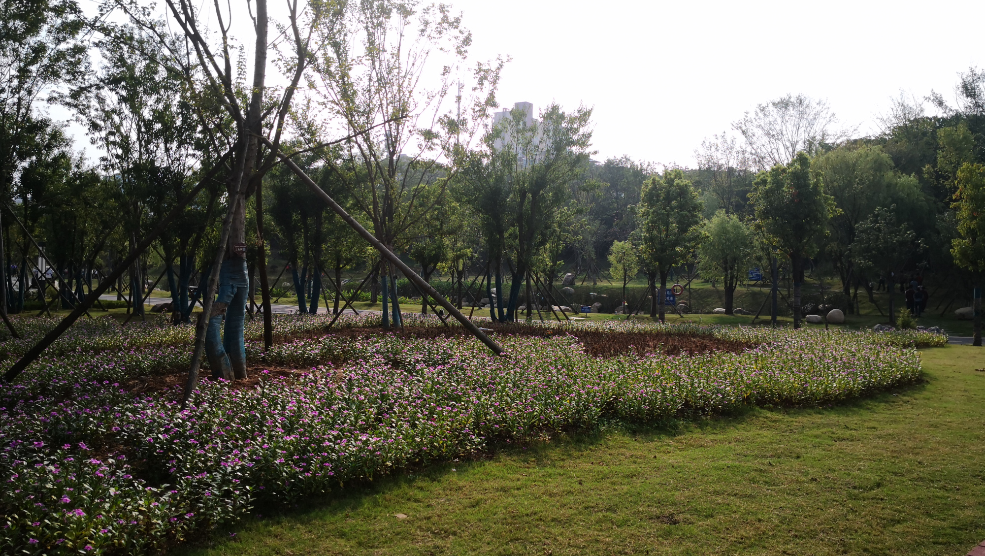 信阳市羊山森林植物园游览