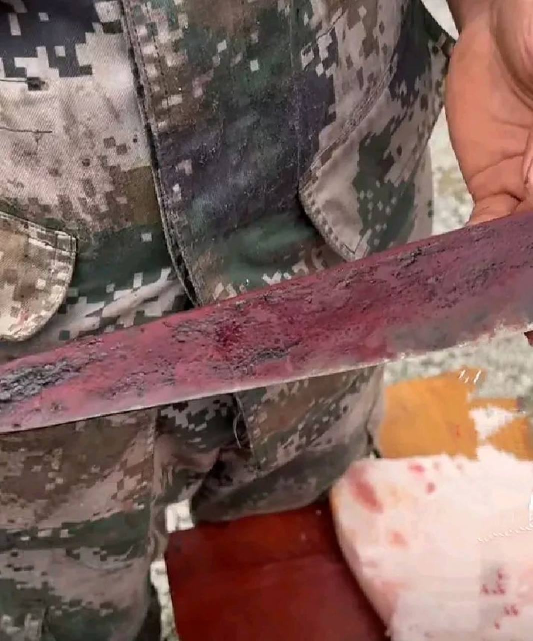 这是一把杀了40年猪乡村屠户的杀猪刀,让人看了胆寒,难怪村里最凶的狗