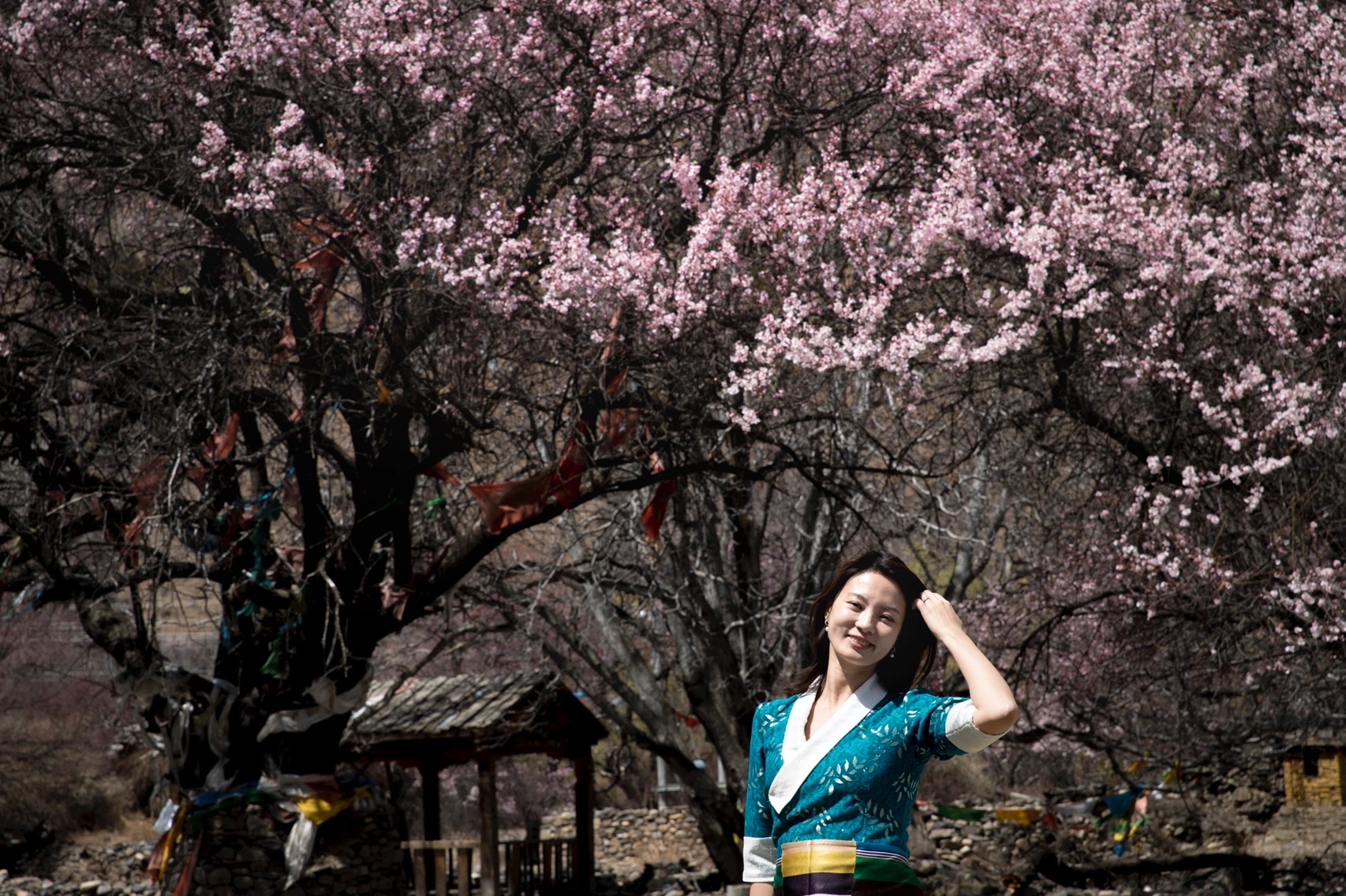 刘芳菲,央视最美女主持,人如其名清雅大气