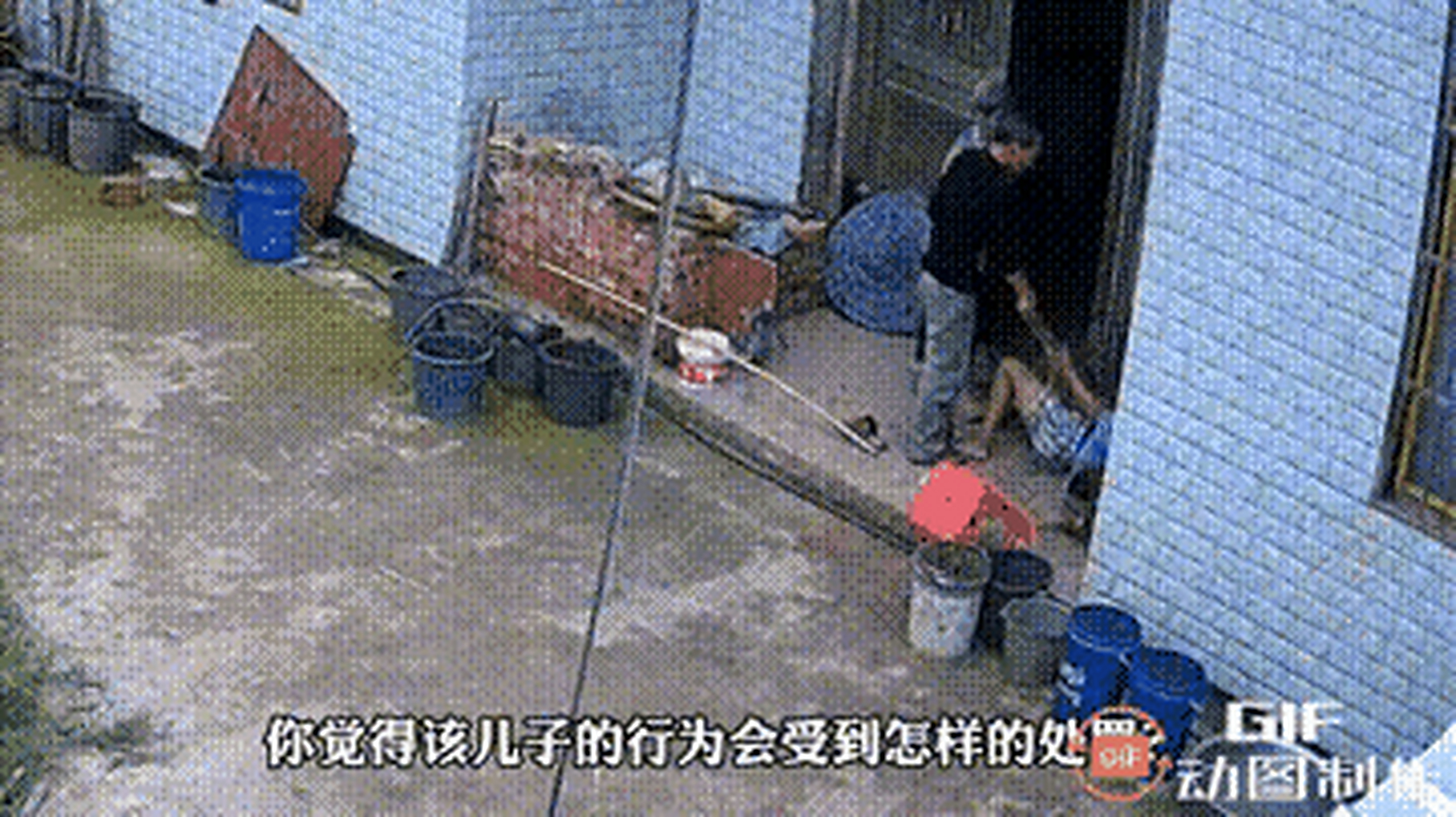 "他是你爸,你往死里打!