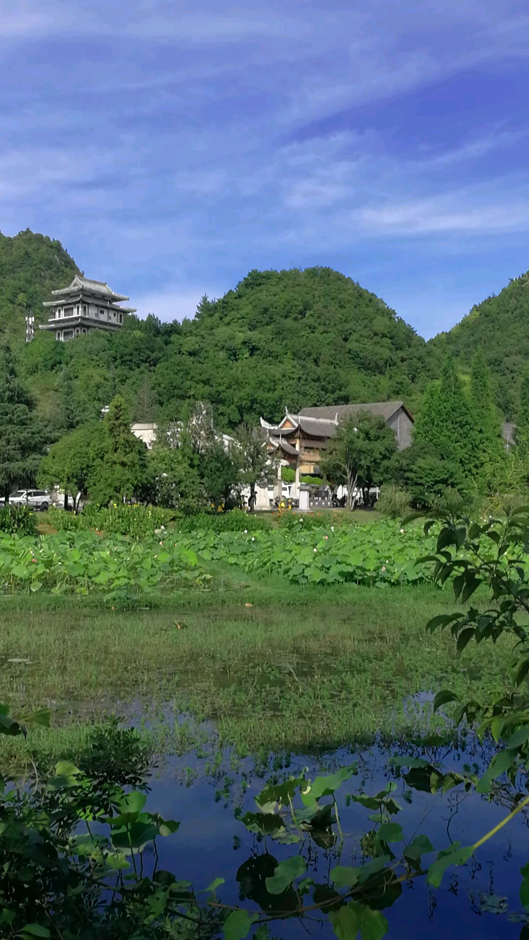 贵阳花溪湿地公园: 昨天下午时分的十里河滩美景