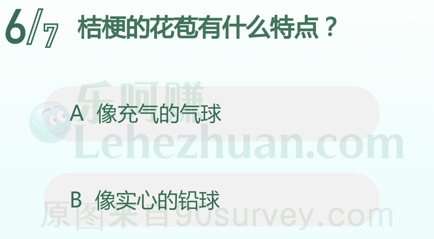 桔梗的花苞像充气的气球
