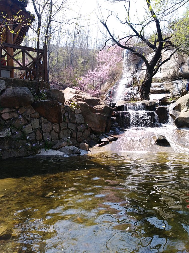 石家庄封龙山一日游,靠一根树枝爬到了山顶(风景图)