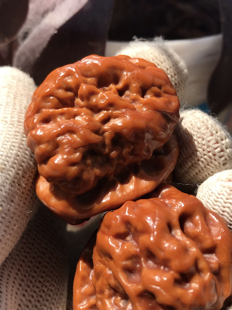 手工# 自家树上长的金蟾蛤蟆头,盘玩儿两年已经包浆挂瓷了