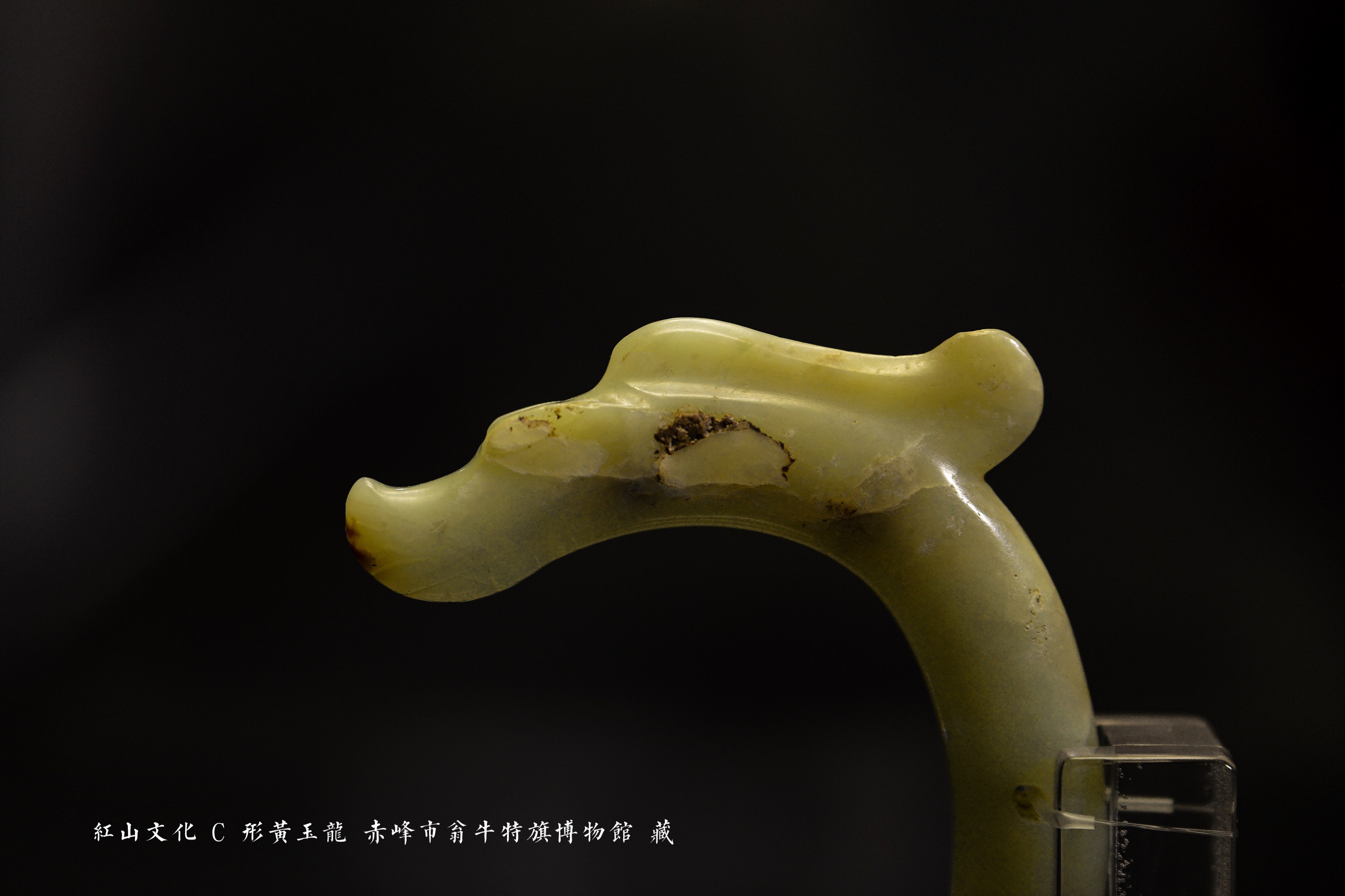 红山c形玉龙—五千年前龙的起源