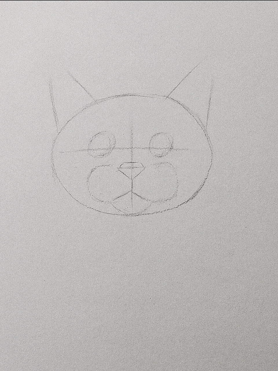 素描全身小猫咪详细作画步骤,教你轻松学会画素描猫咪,零基础也能学习