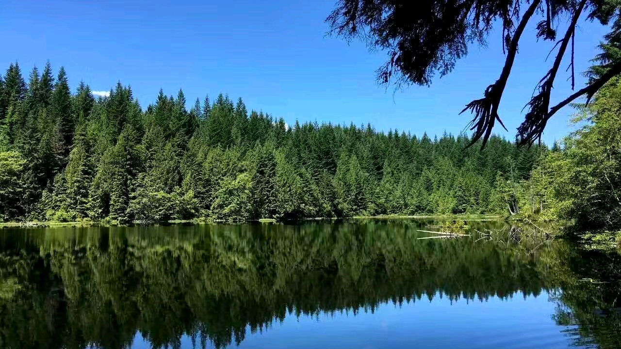 加拿大多伦多爱德华公园,感受视频的美景