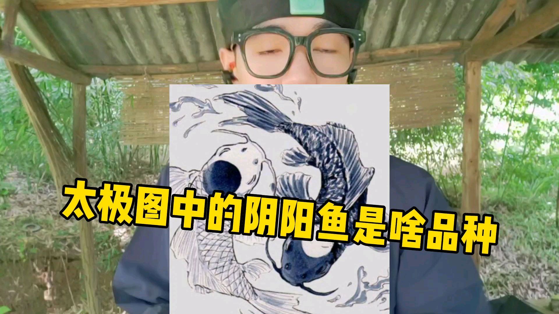太极图中的阴阳鱼,是什么品种的鱼?