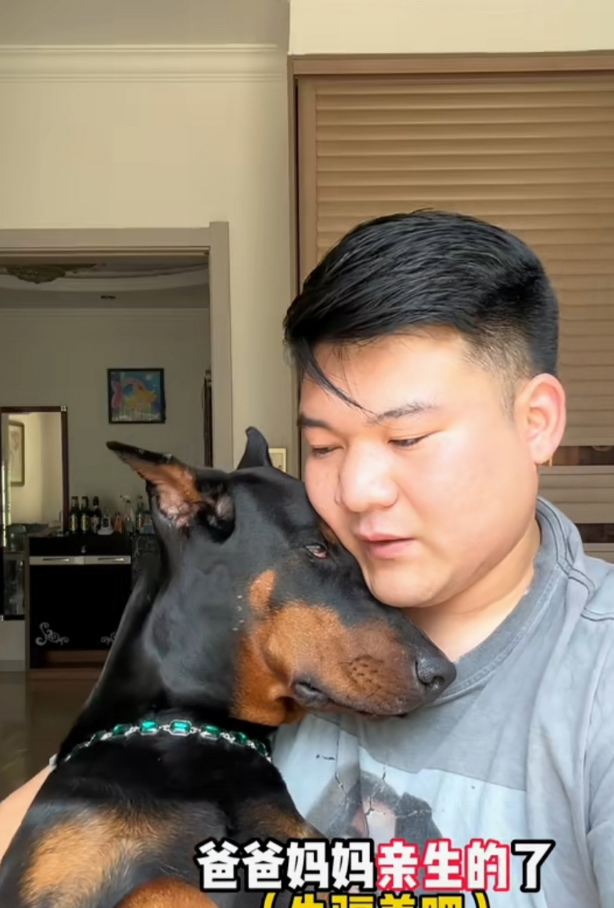 本来生无可恋的表情,硬是哄出了小鸟依人的感觉