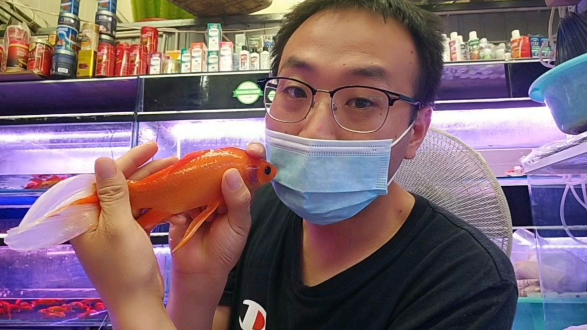 给朋友们讲讲冷水鱼里比较好养的品种,如果帮到您了关注我吧