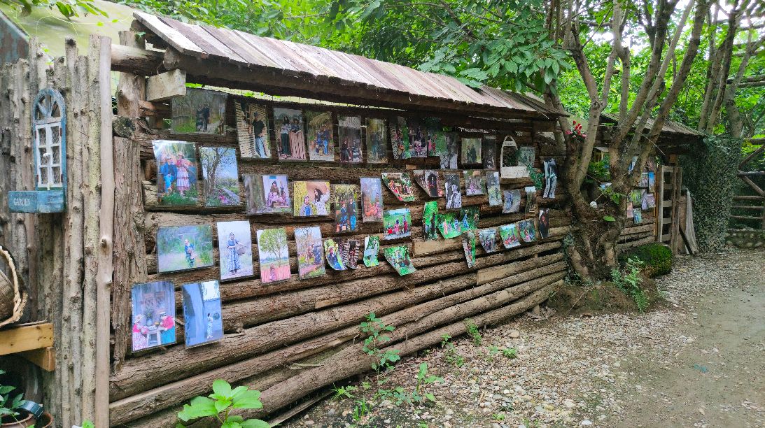 崇州森林部落摄影基地图片