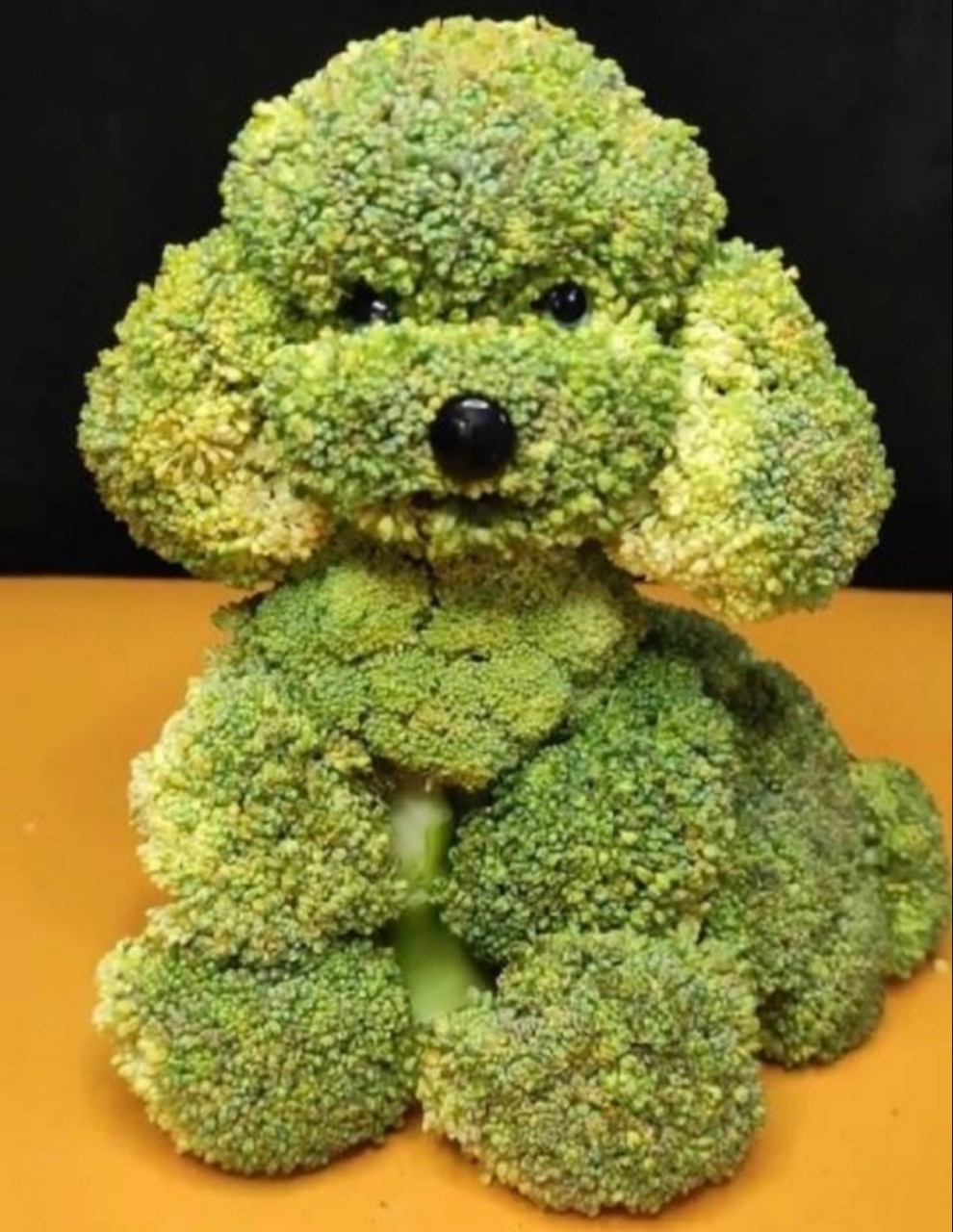西兰花狗狗,别说还真的挺像.