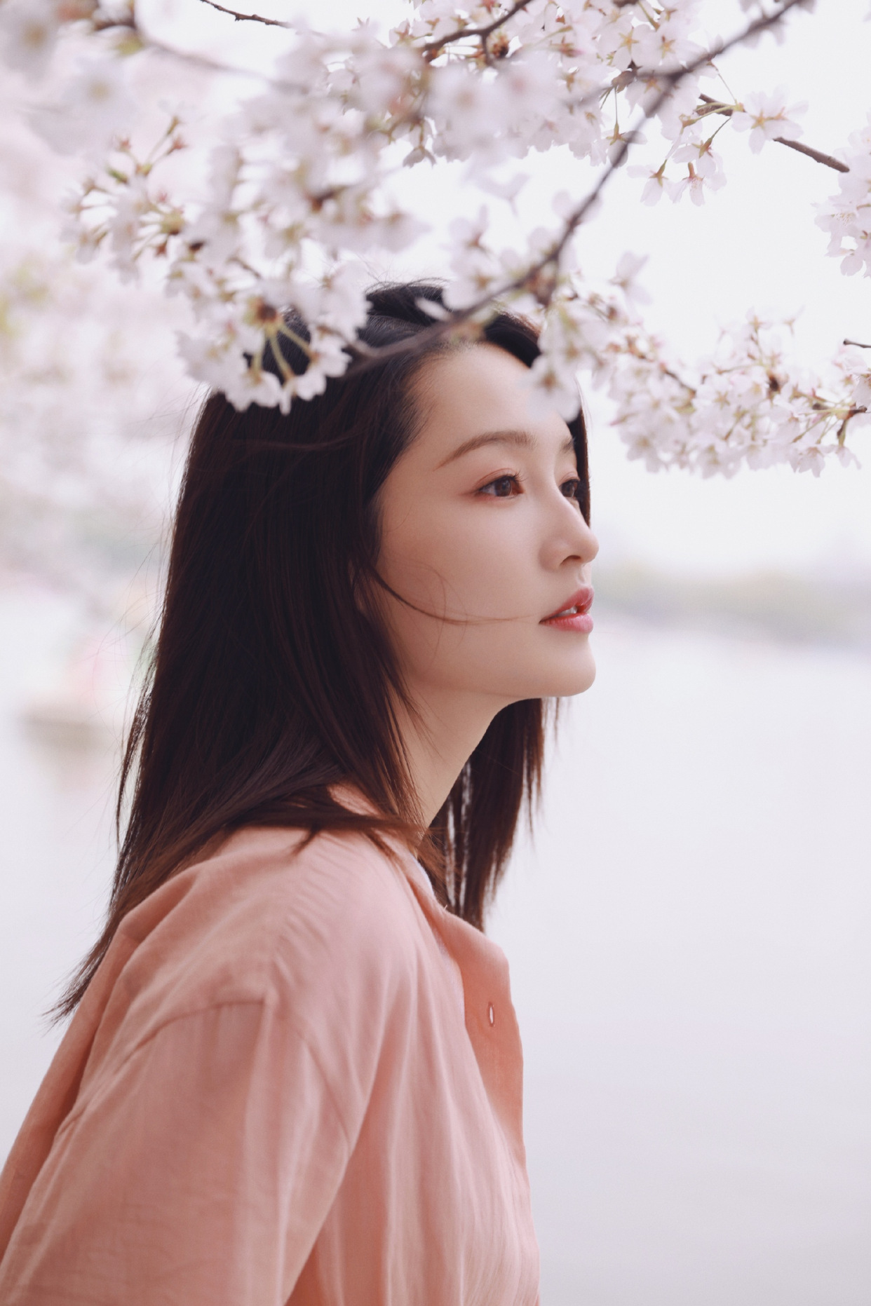 李沁樱花大片,巧笑嫣然,唯美如画