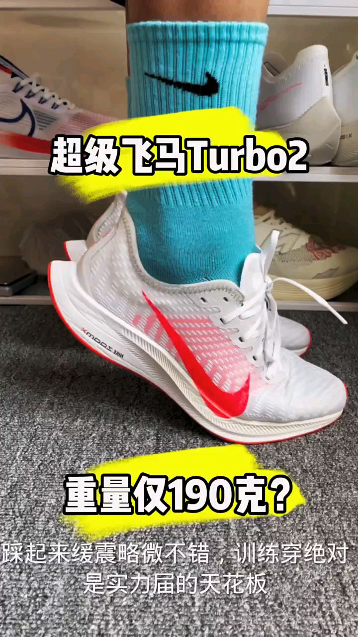 飞马turbo3图片