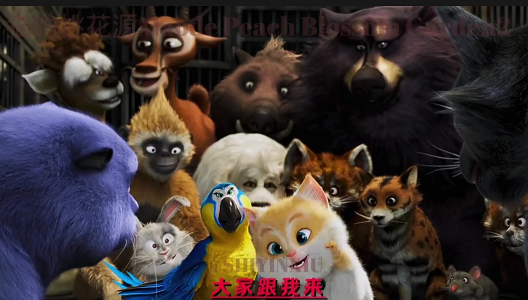 猫与桃花源