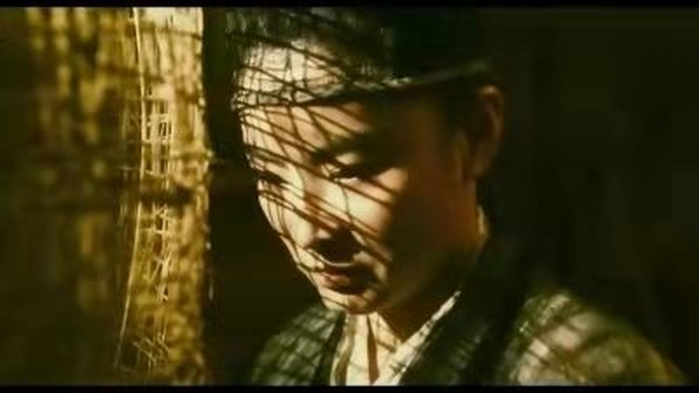 电影#   在王家卫的《东邪西毒》中,慕容嫣大概代表着世间一切"苦主"