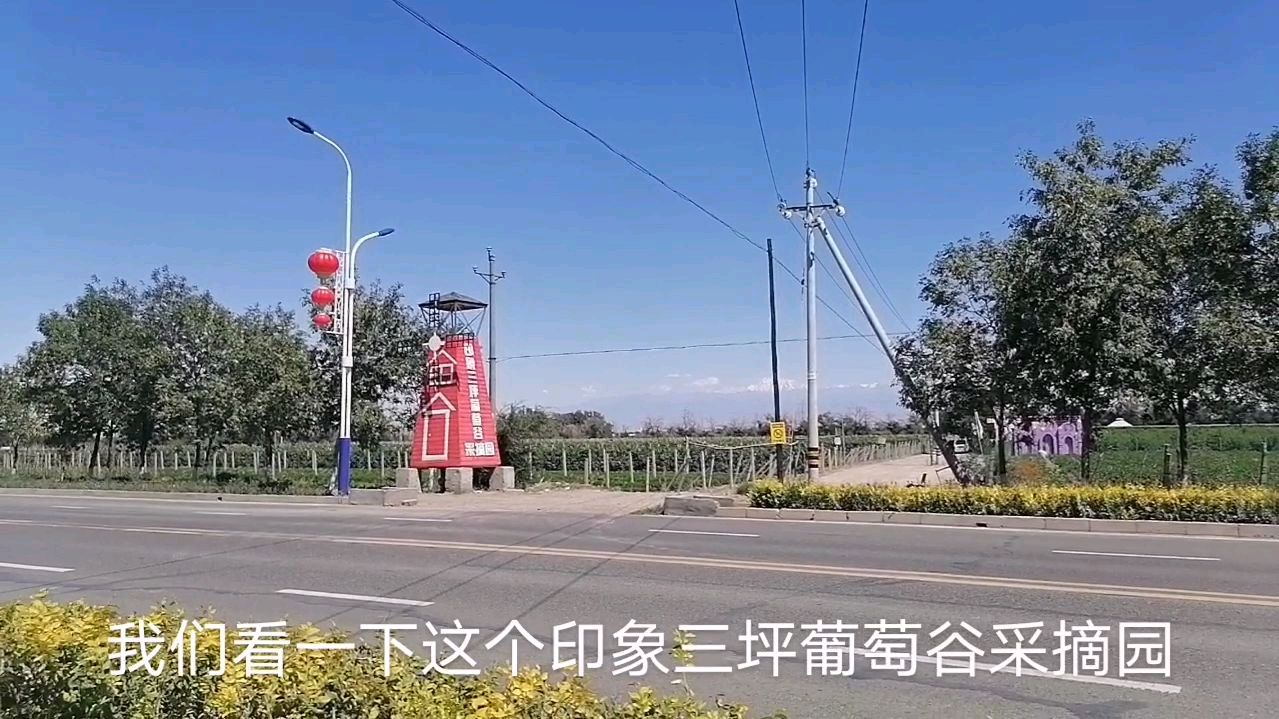 印象三坪葡萄园都市农庄,园里有水果和多种蔬菜,游客可自助采摘