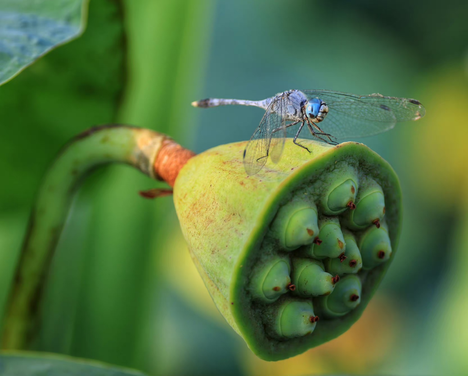 无论风雨还是晴天,我愿意与你携手走过人生的每一个