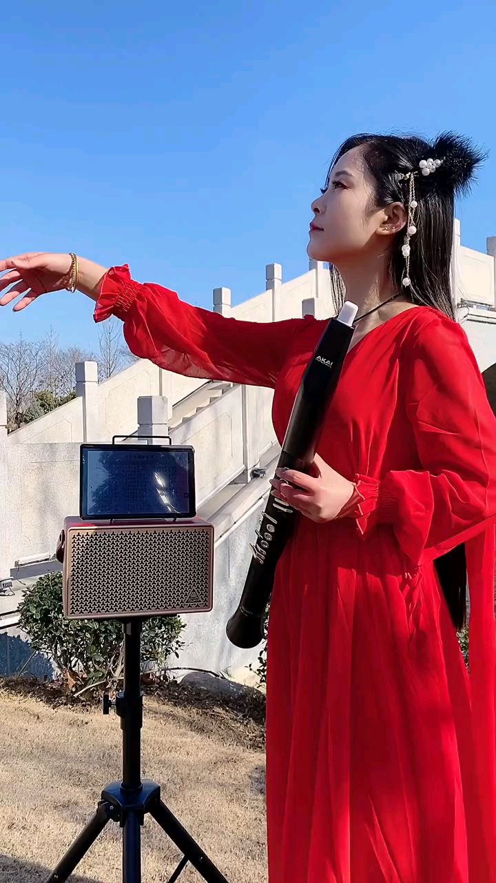 电吹管演奏《片片相思赋予谁》全新演绎!-度小视