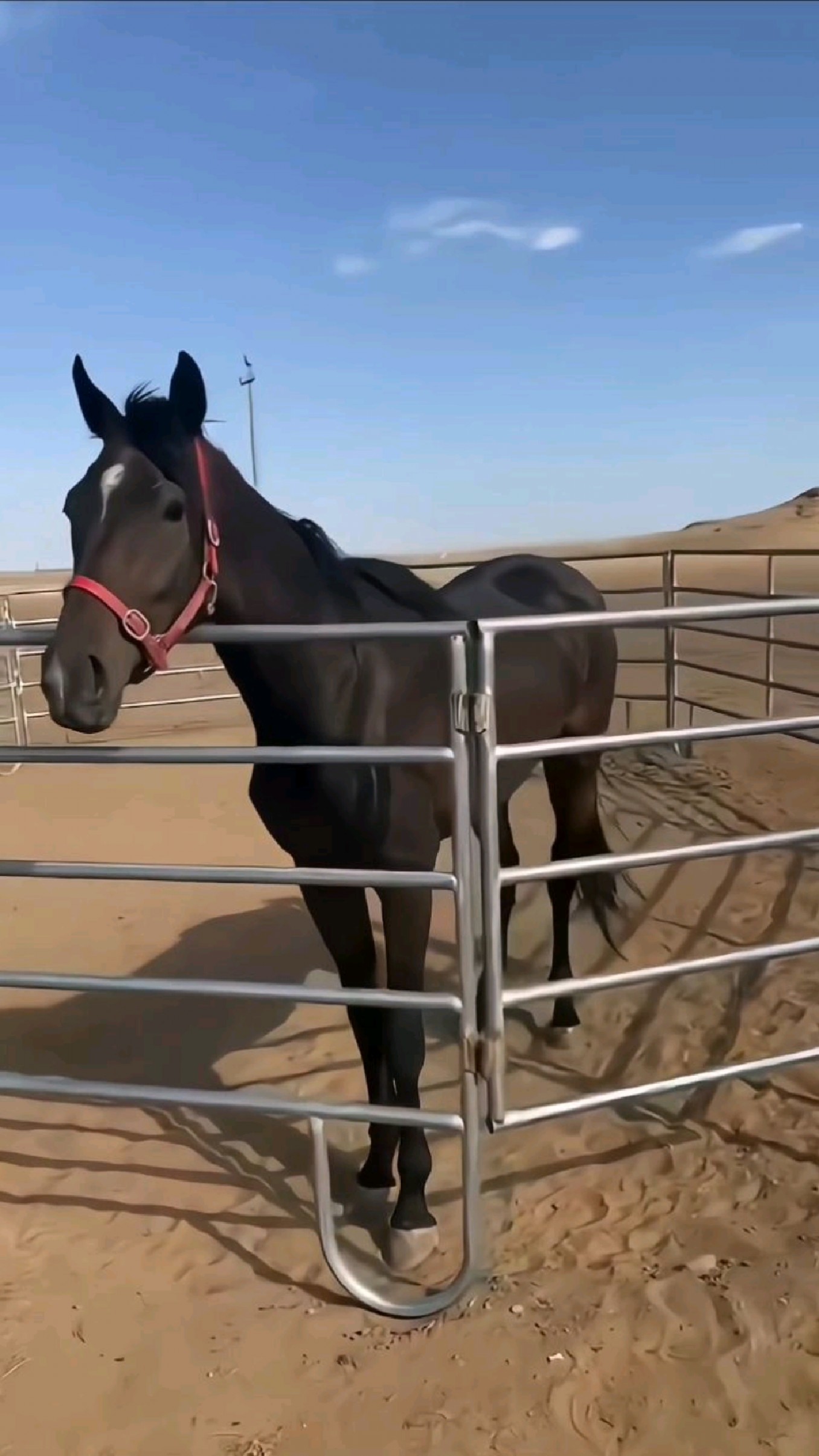 可移动式马场围栏,马术调训围栏实际使用效果.-度小视